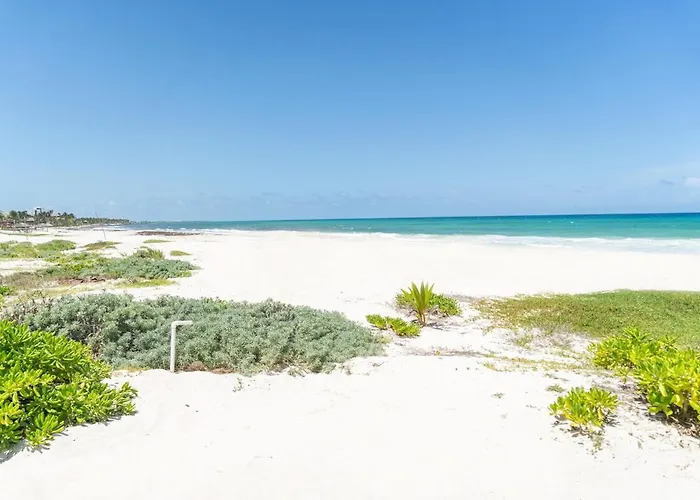 Ixchel-stunning Views, Right On The Beach!